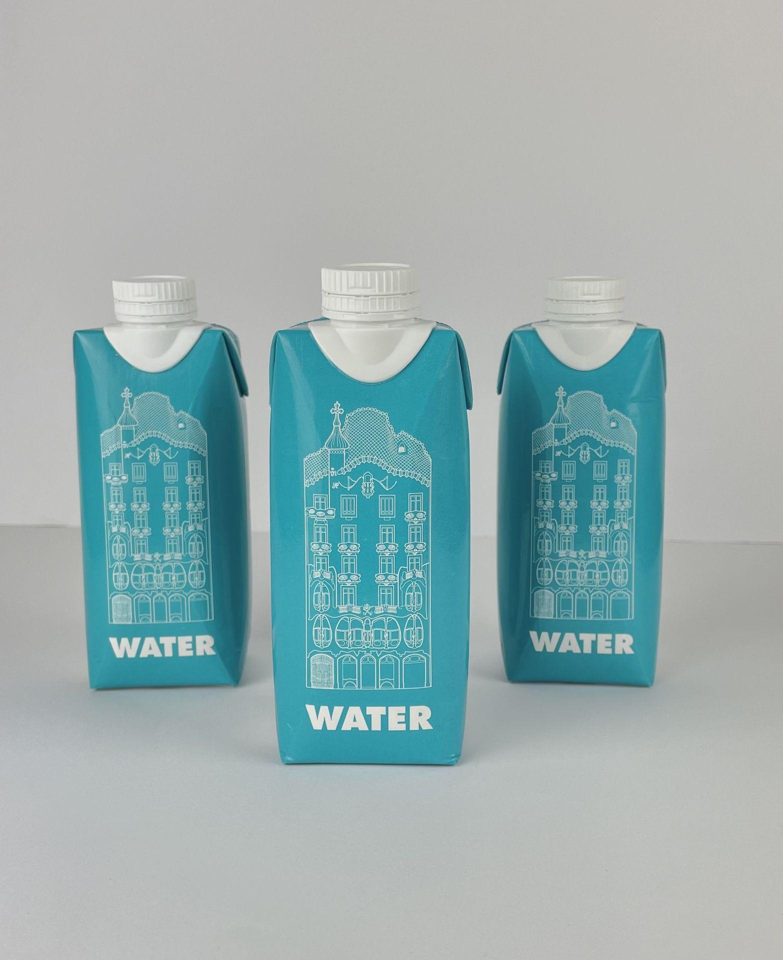 Agua en brick de the brand company